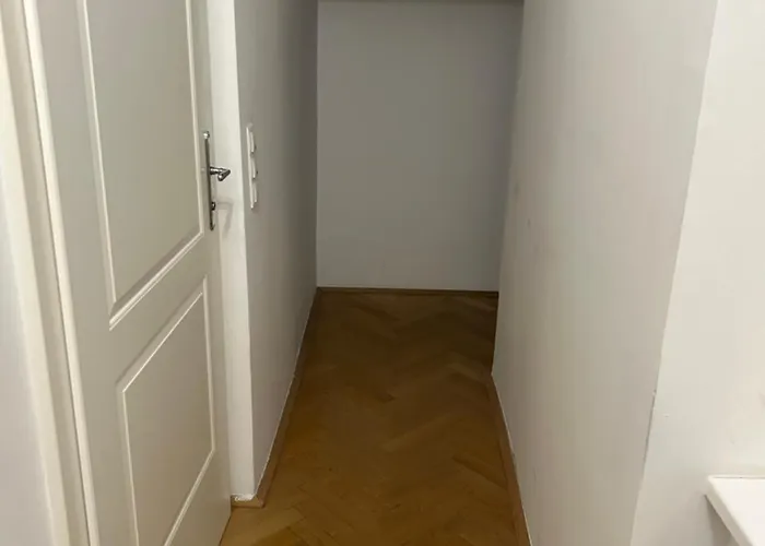 Apartment, Zentrale Lage 1 Διαμέρισμα Βιέννη